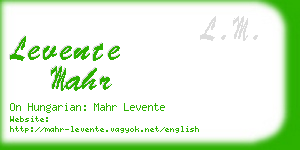 levente mahr business card
